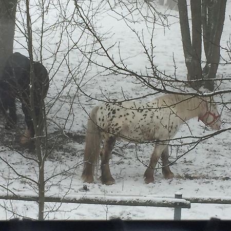 Penzion Na Slunicku Mariánská Exterior foto