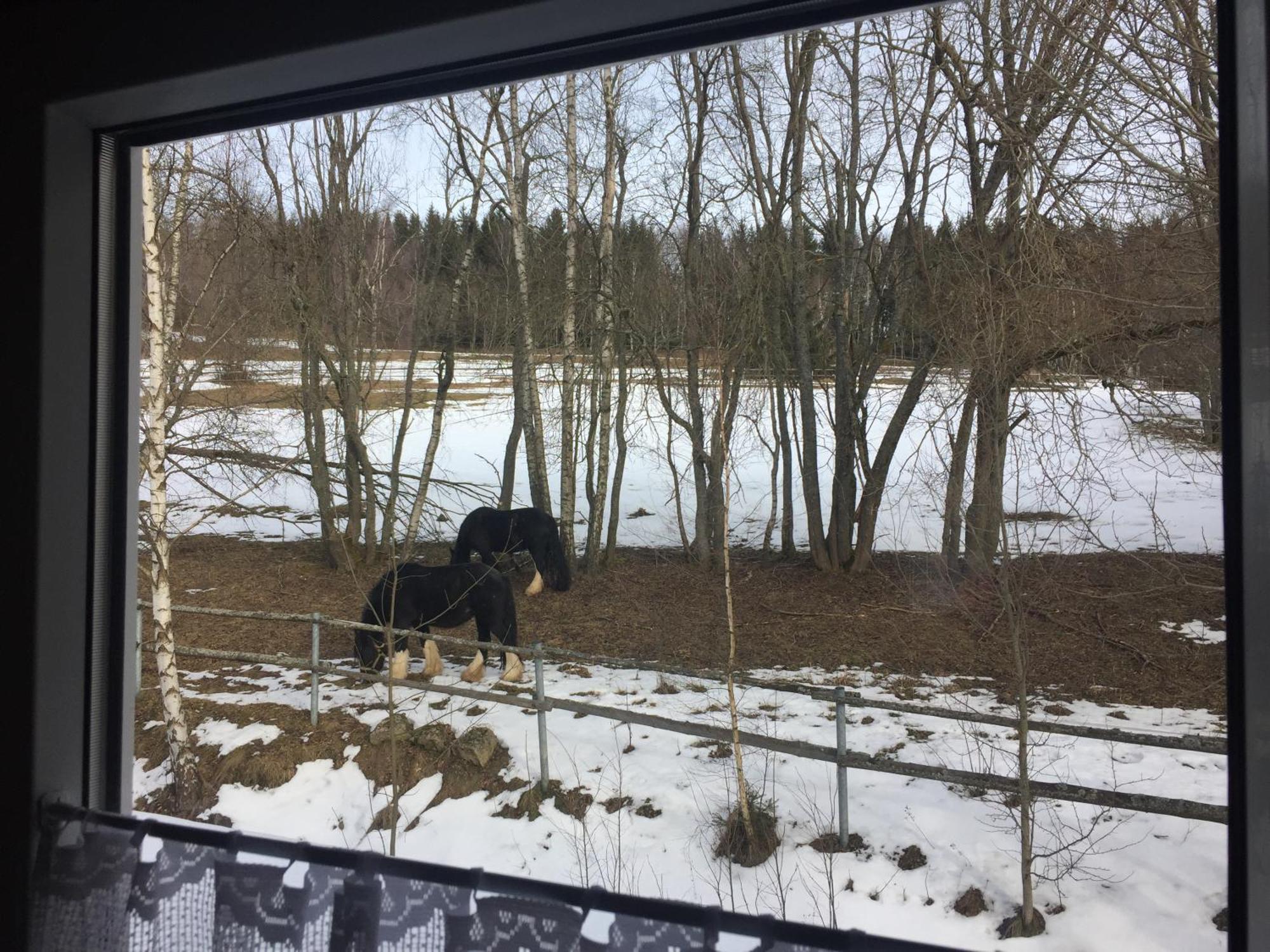 Penzion Na Slunicku Mariánská Exterior foto