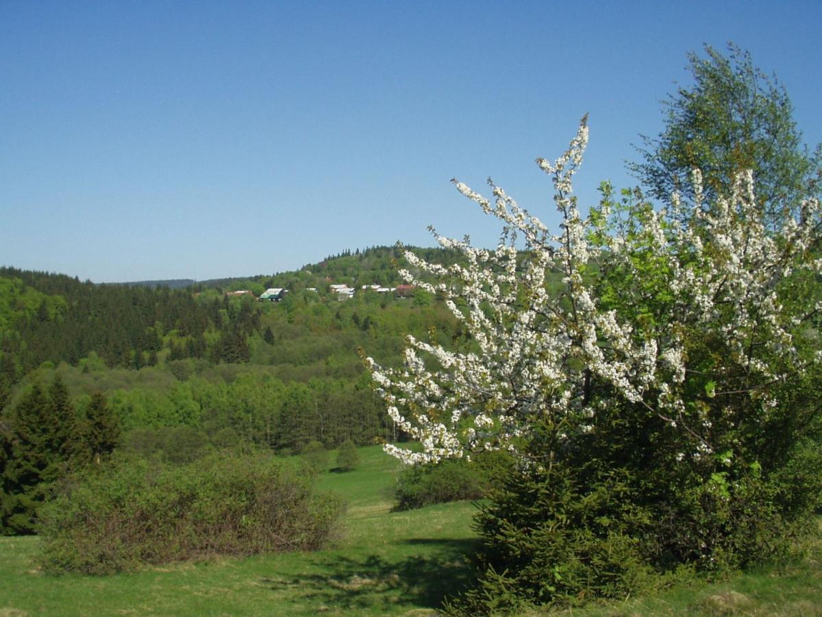 Penzion Na Slunicku Mariánská Exterior foto